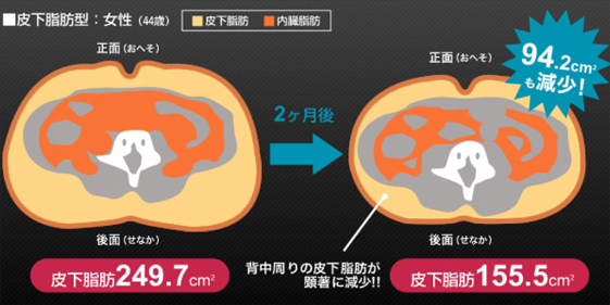 皮下脂肪が顕著に減少！